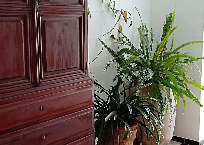 بيت ضيافة Cas Bombu